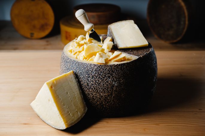 oh-snap-photography-7939